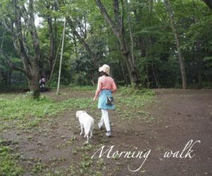 愛犬と朝散歩